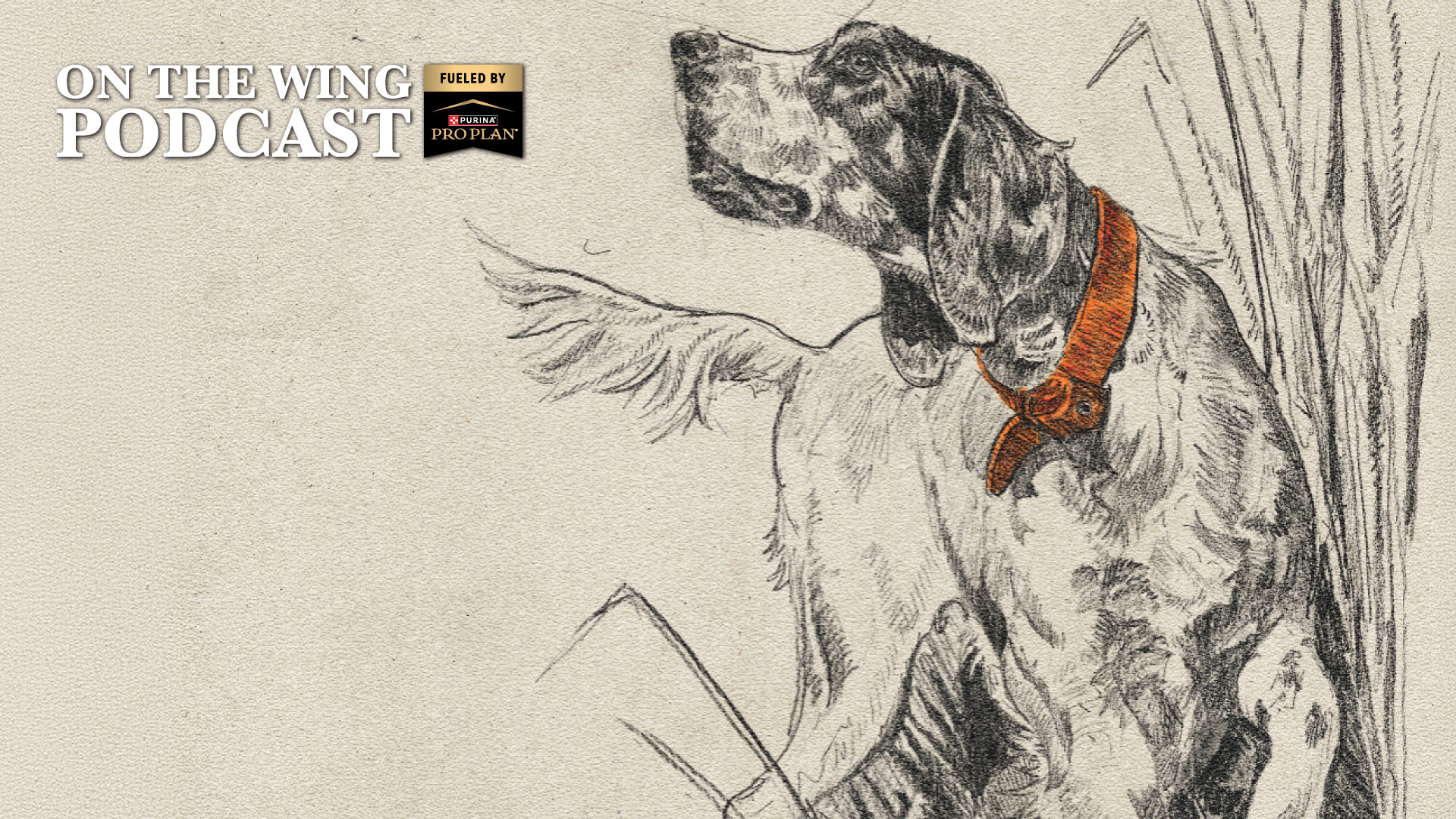 PODCAST EP. 385: Broken Bow's Colton Patterson on Illustrating Wendell Berry Story