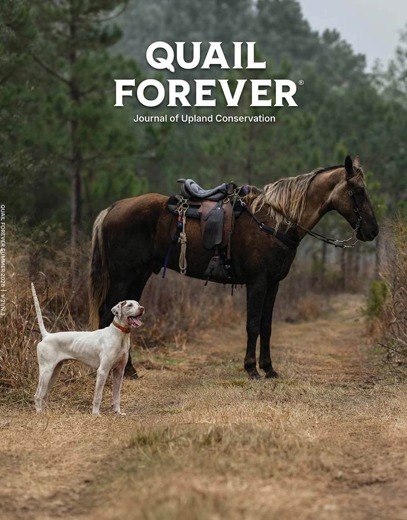 QFJ-Summer-Cover-26.jpg