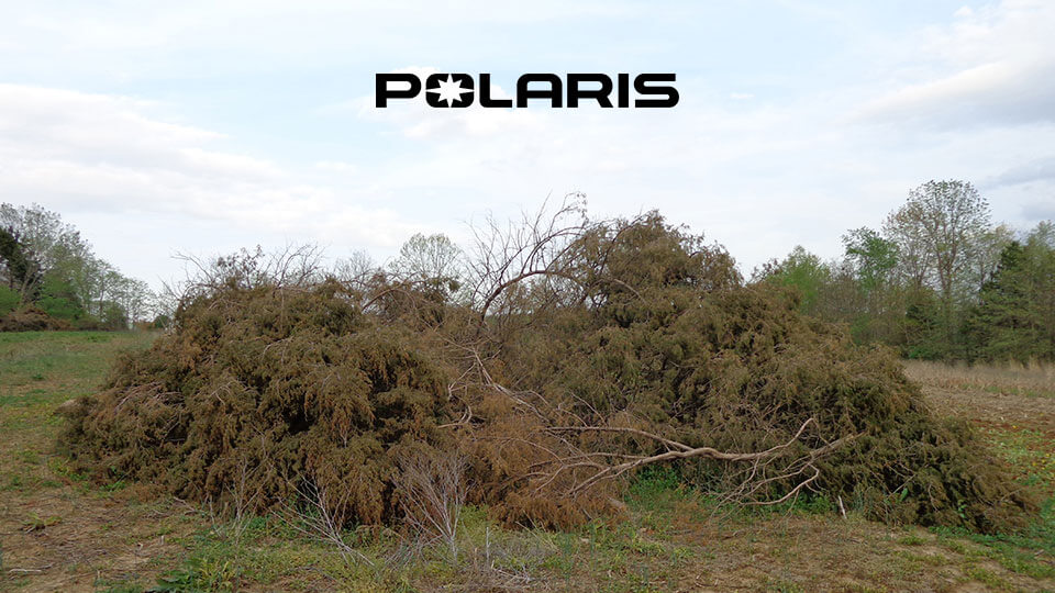 The Upland Life: Defending Quail Country One Cedar at a Time
