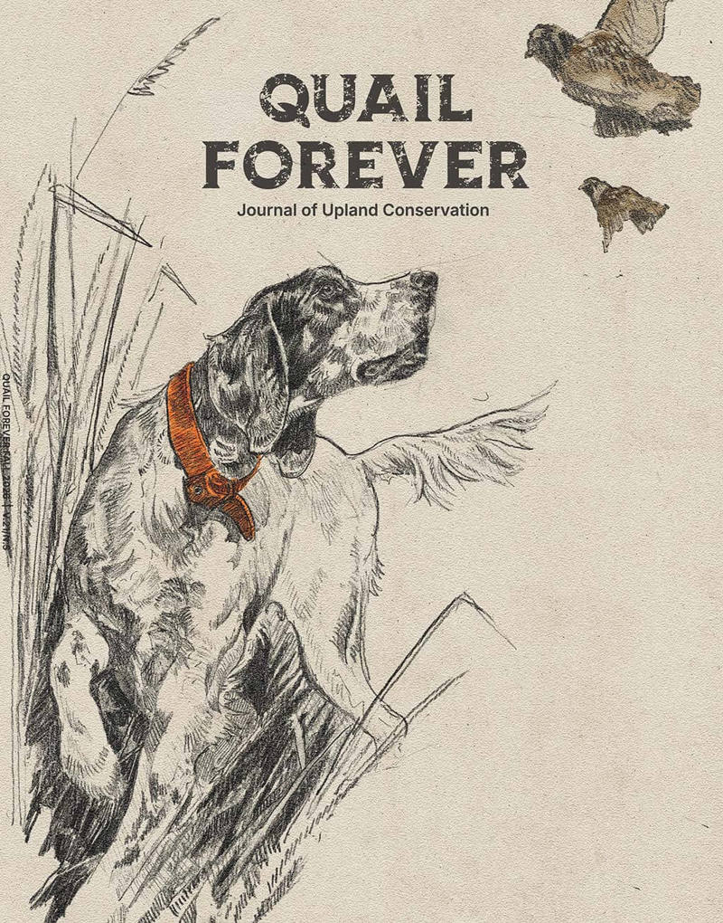 QFJ-Fall-26-COVER.jpg