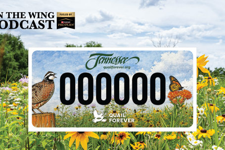 PODCAST EP. 375: Conservation Scorecard: State Advocacy for Habitat, Hunting, and Public Lands