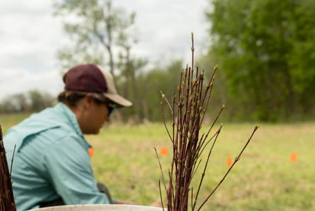 article-simple-shrub-cover-feature.jpg