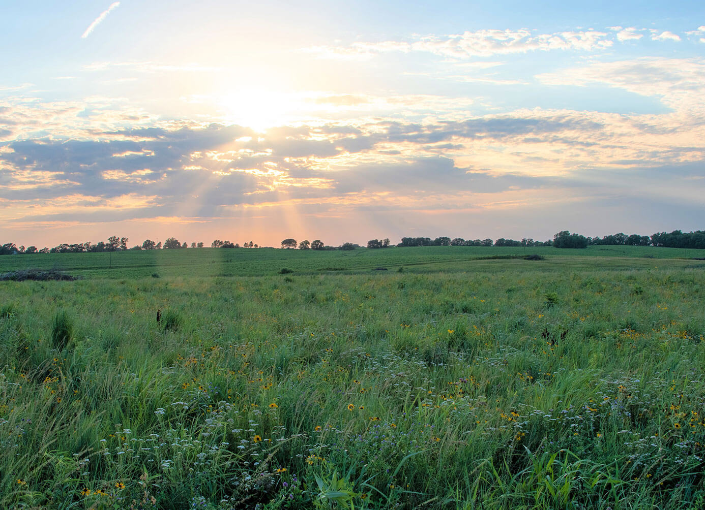 farm-bill-crp-stacked.jpg