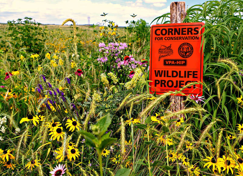 Corners for conservation sign around flowers and field