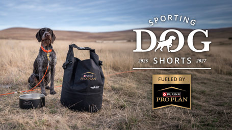 article-sporting-dog-shorts-october-2026