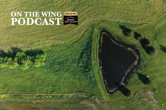 PODCAST-EP-361-Habitat-University,-Creating-Upland.jpg