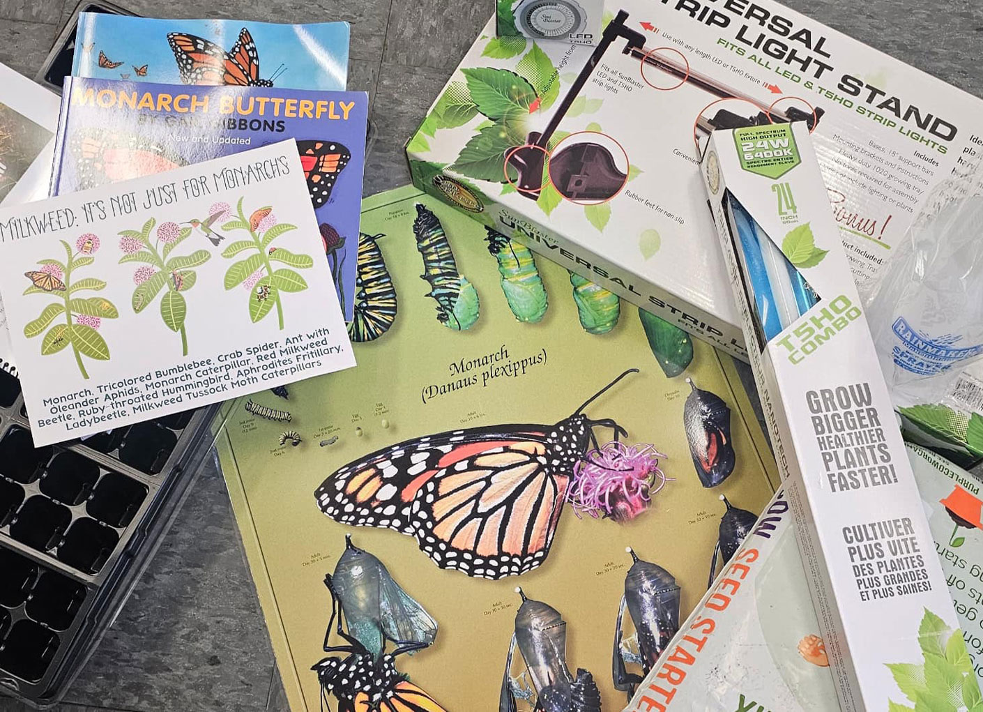 habitat-education-milkweed-classroom-content.jpg