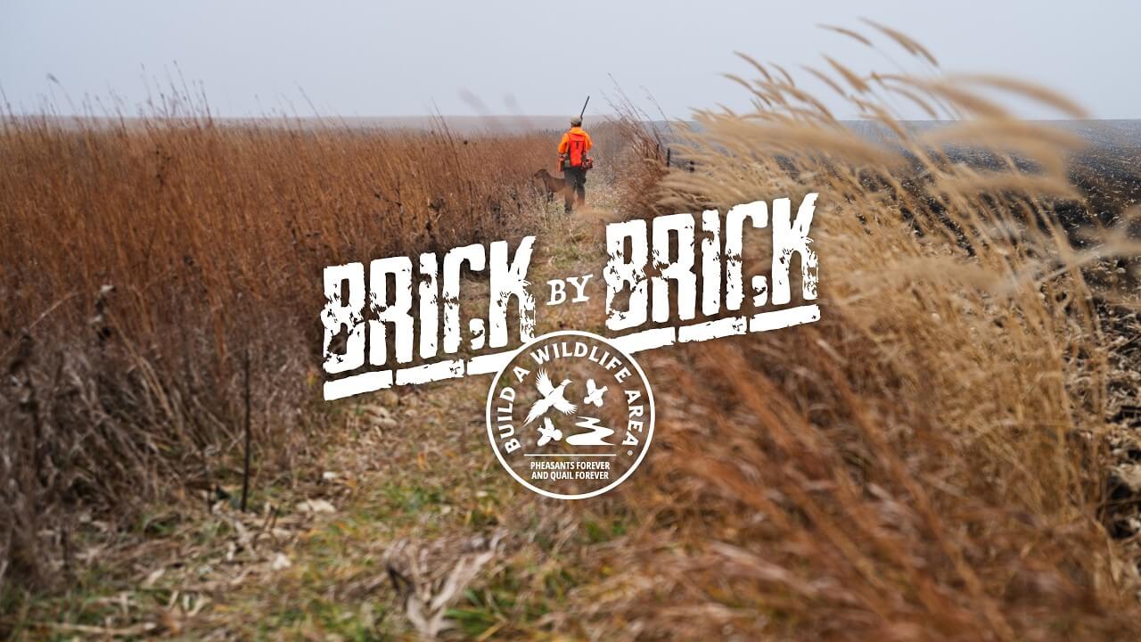 Brick by Brick | Habitat, Community, and Pheasant Hunting Along the Minnesota-Iowa Border