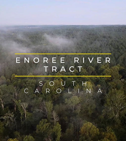 hp-qf-enoree-river-carousel.jpg